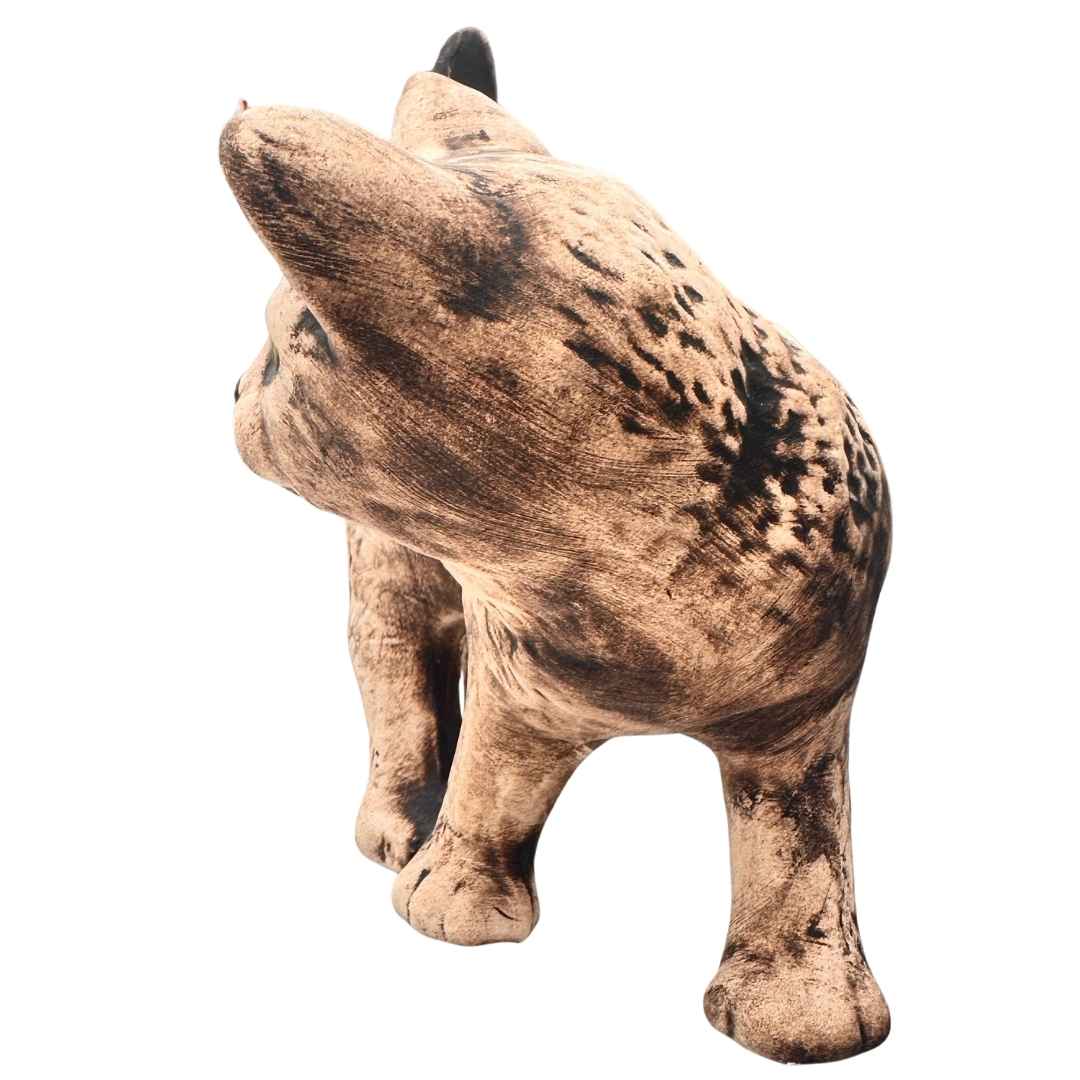 Detail kotěte Tofíka